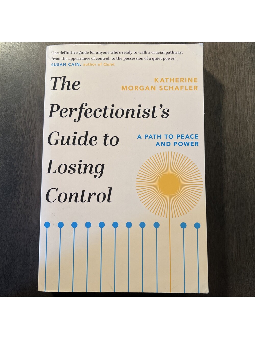 The Perfectionist's Guide to Losing Control by Katherine Morgan Schafler